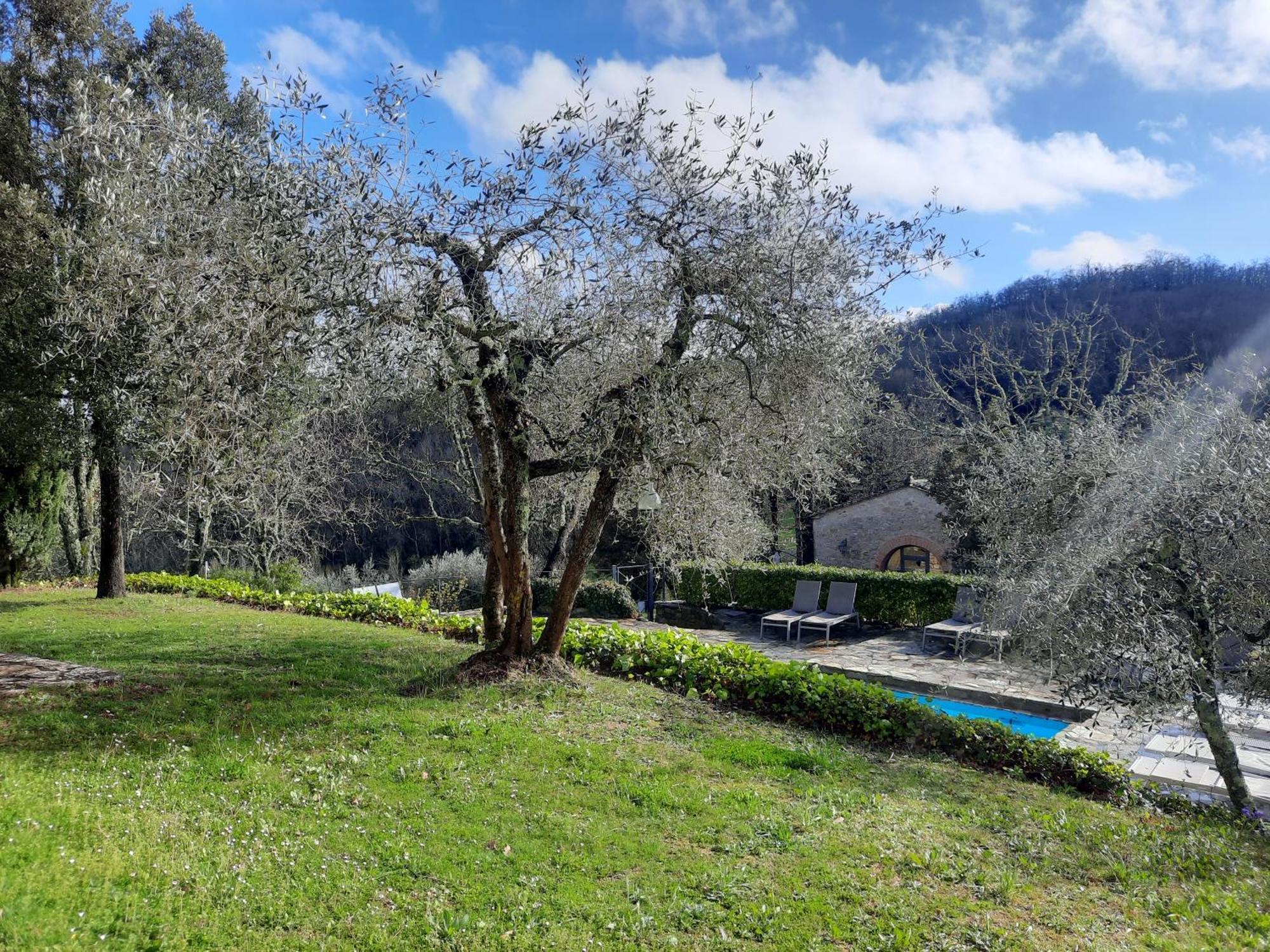 Borgo Livernano Radda in Chianti Exteriér fotografie